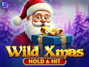 Wild Xmas – Hold & Hit screenshot